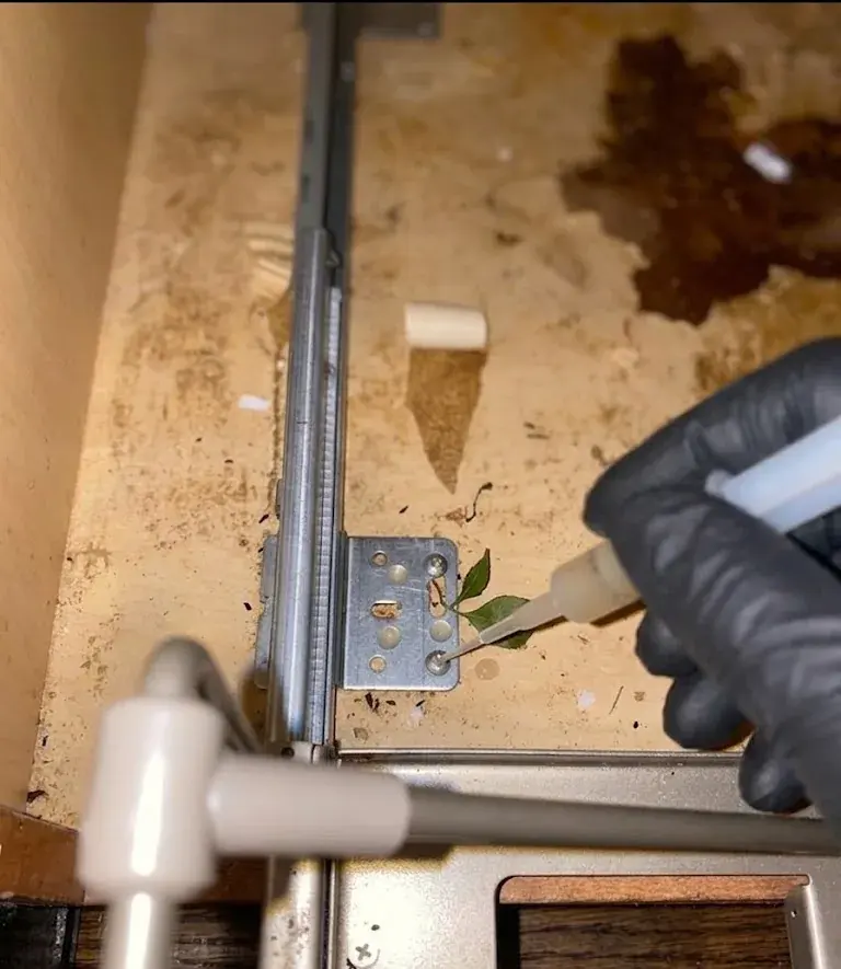 One-Time Pest Treatment service in Georgetown, TX